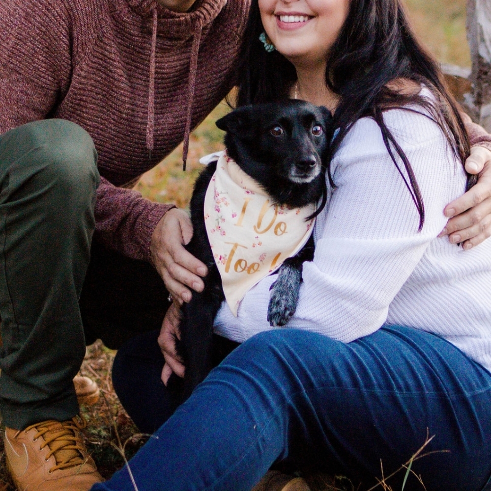 "I Do Too" Dog / Cat Engagement Bandana